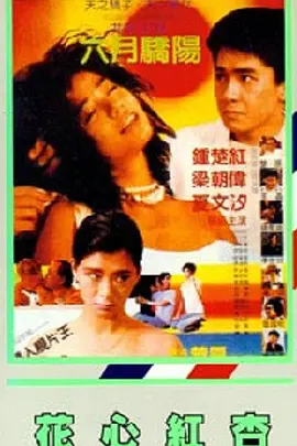 美女黄频视频免费国产大全